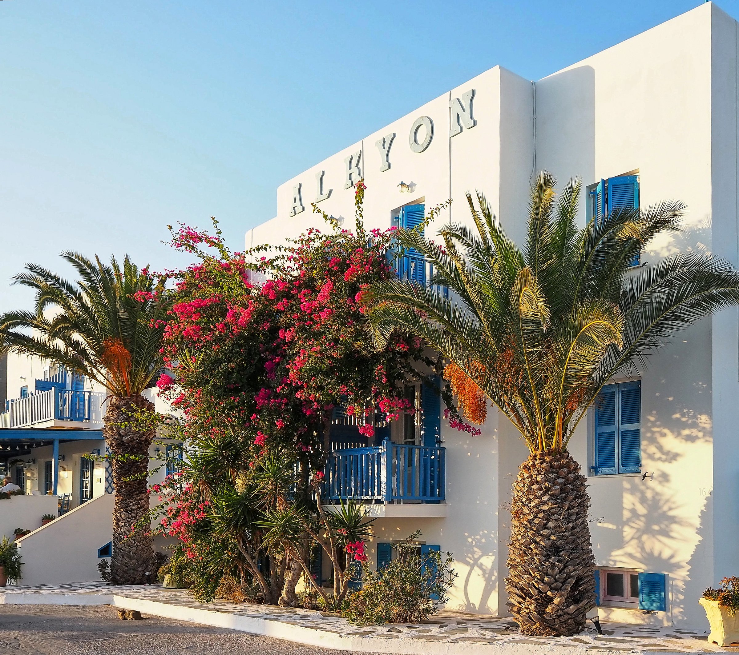 HOTEL ALKYON