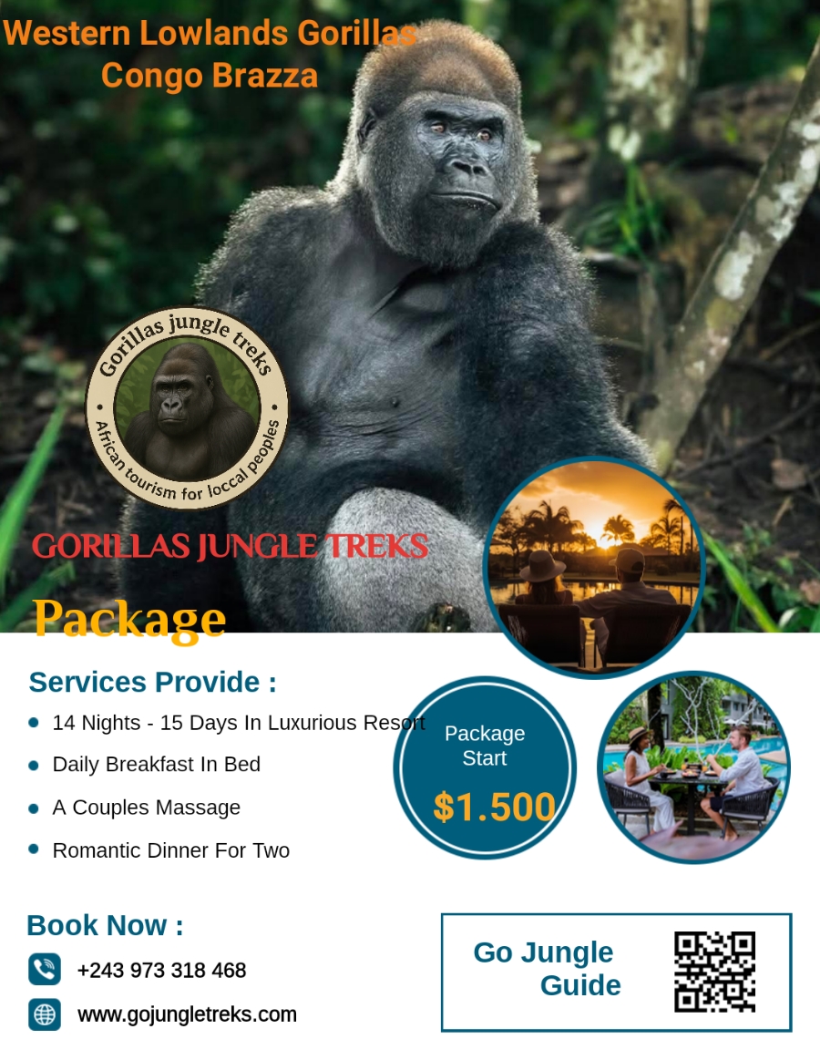 GORILLAS JUNGLE TREKS