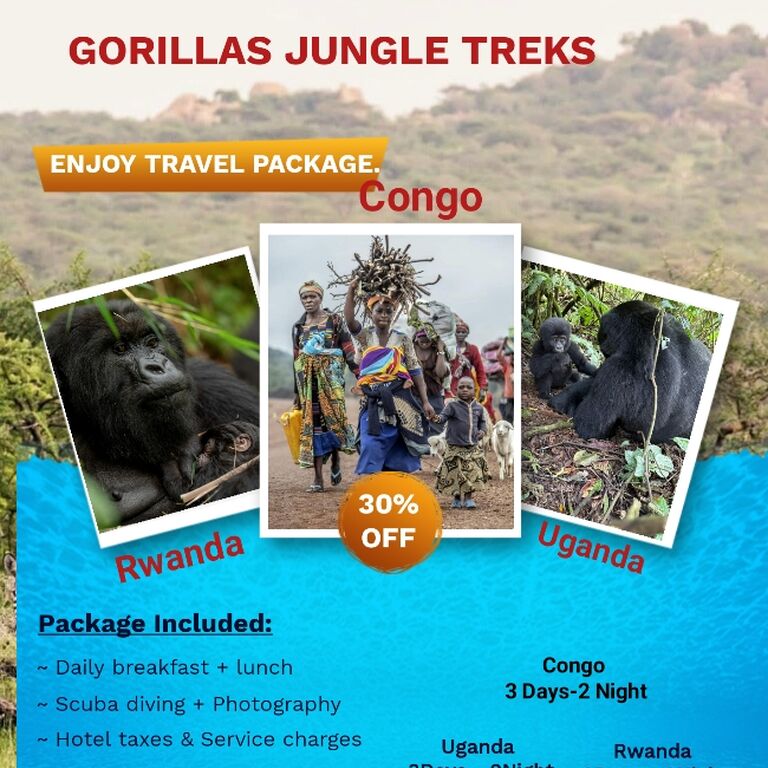 GORILLAS JUNGLE TREKS