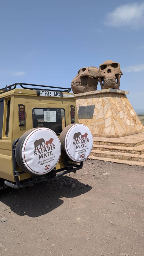 Safaris Mate Tanzania