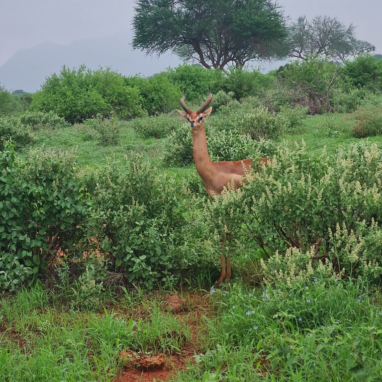 Boomtrail Tours and Travels.