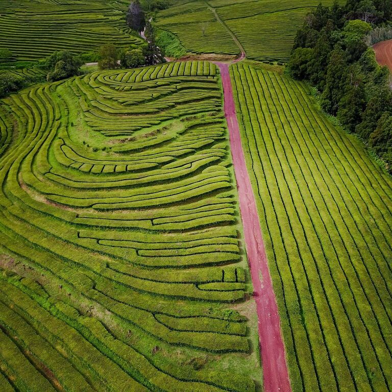 Azores Islands Experience
