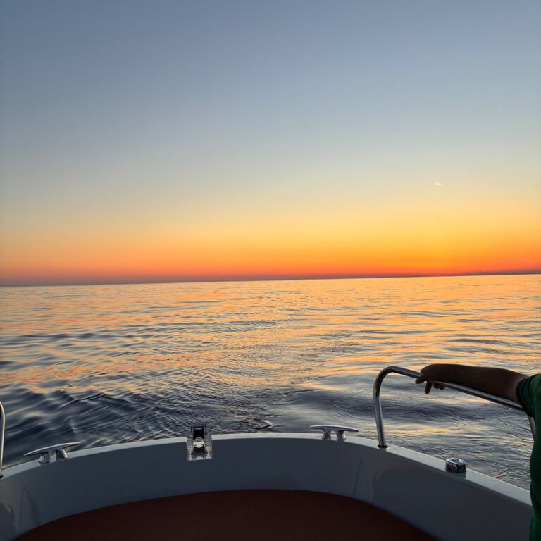 ALPHA WAVE BOAT RENTAL