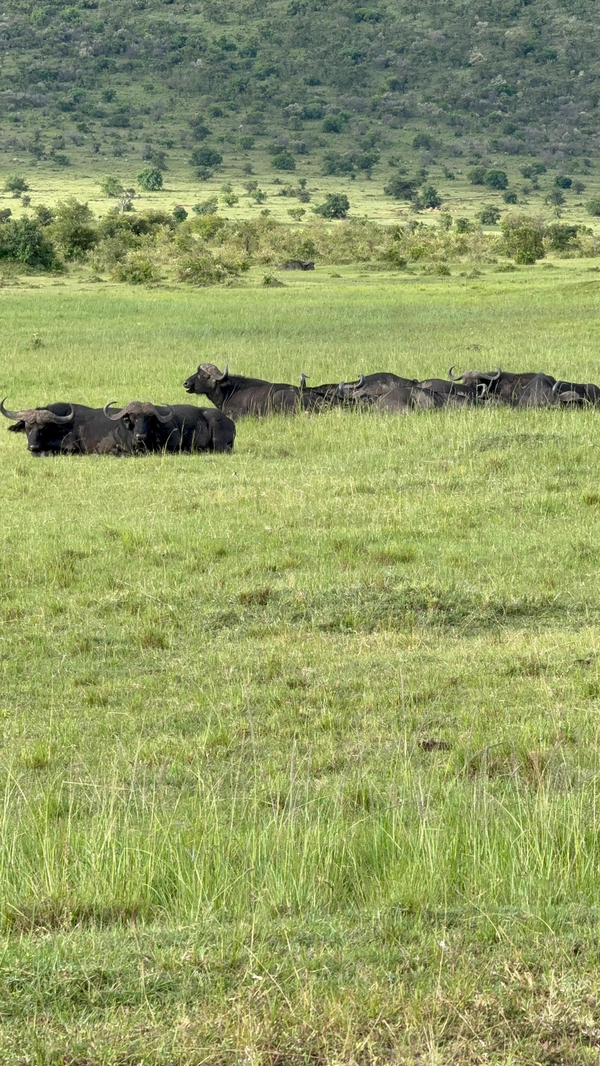 Summit seekers safaris