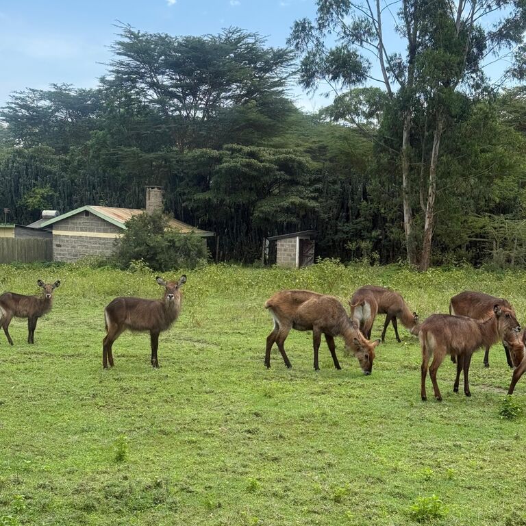 Summit seekers safaris