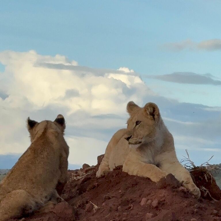 Summit seekers safaris