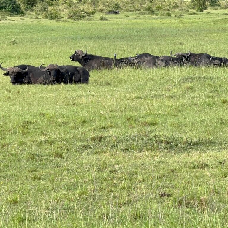Summit seekers safaris