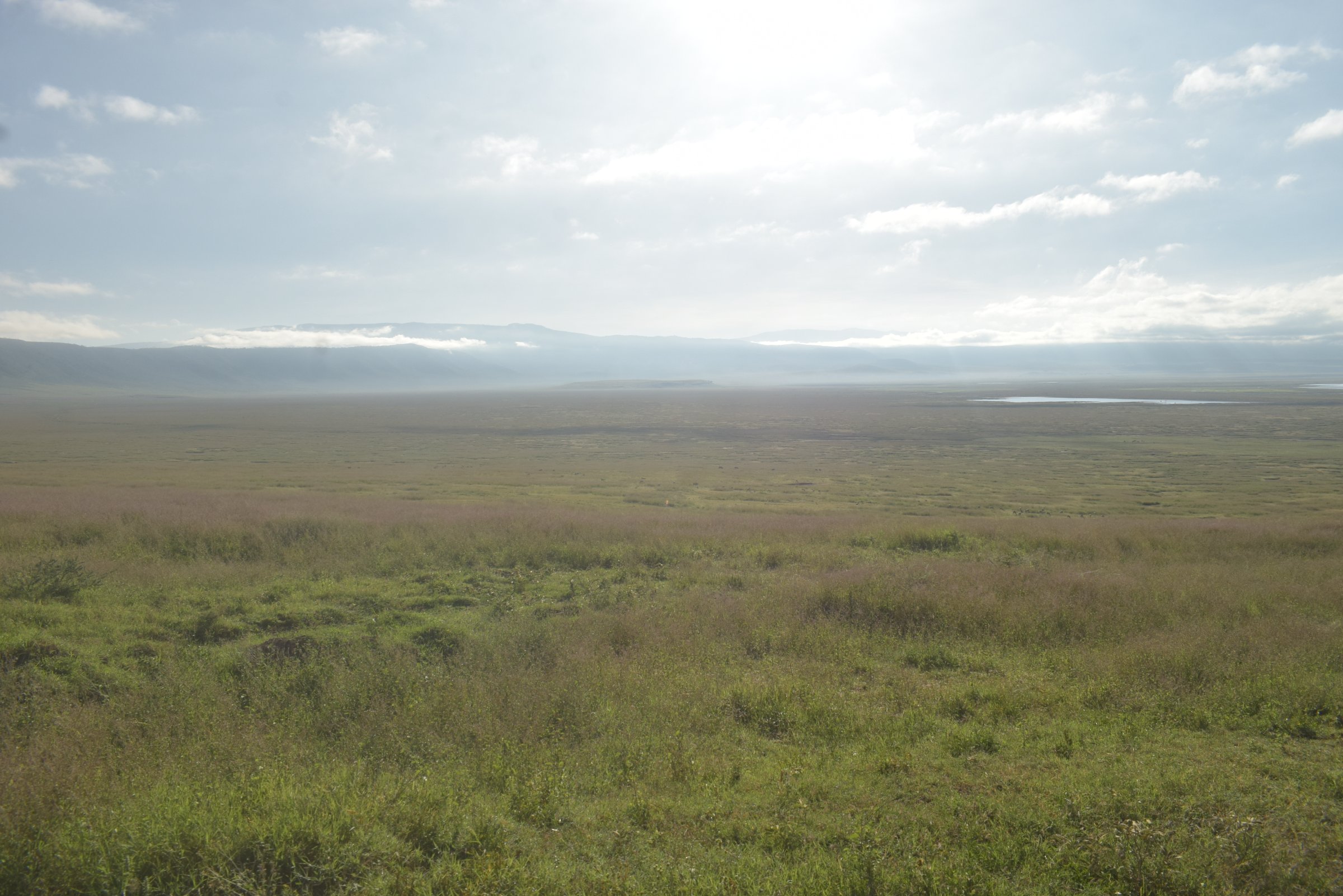 Africa's Wild Wonders