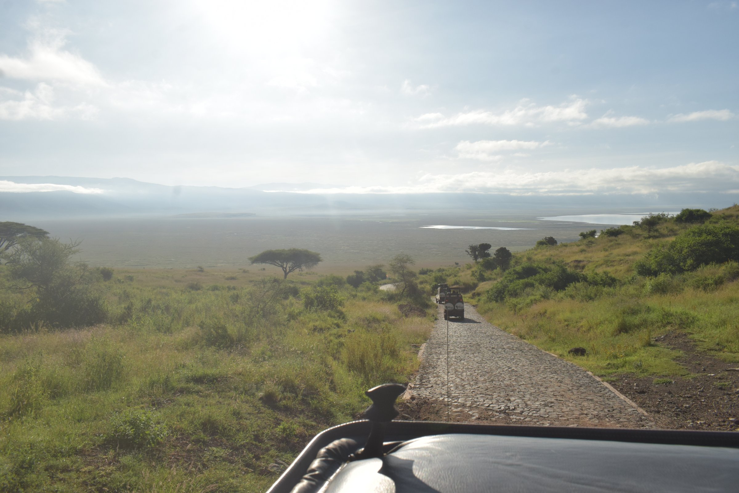 Africa's Wild Wonders