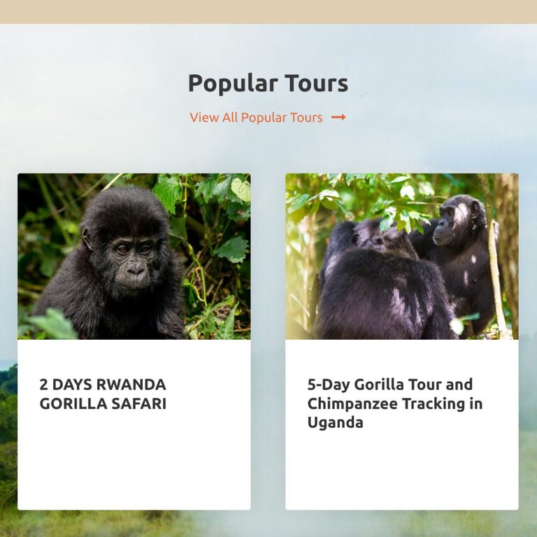Cobs Safaris