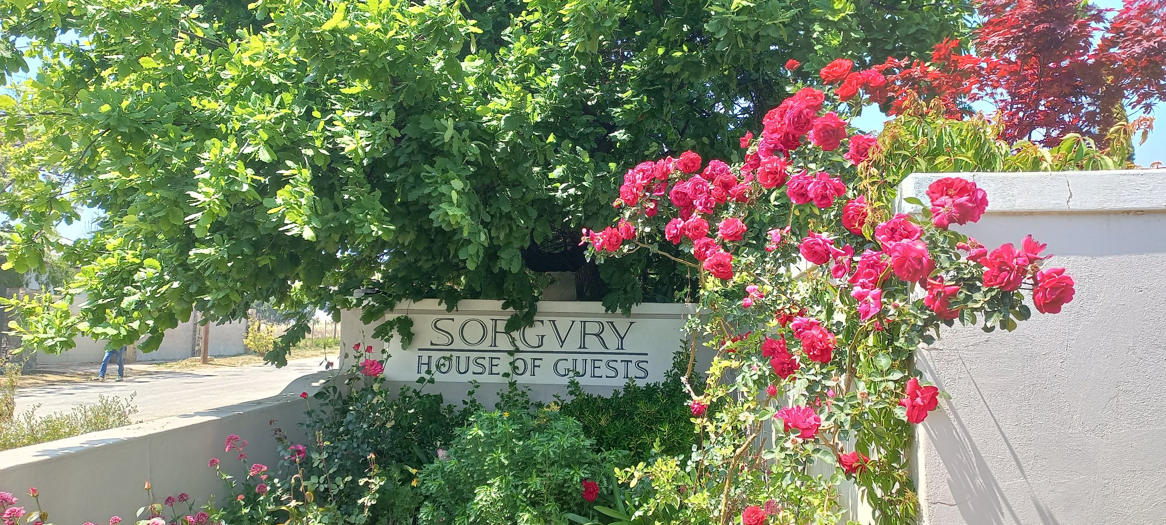 Sorgvry House of Guests