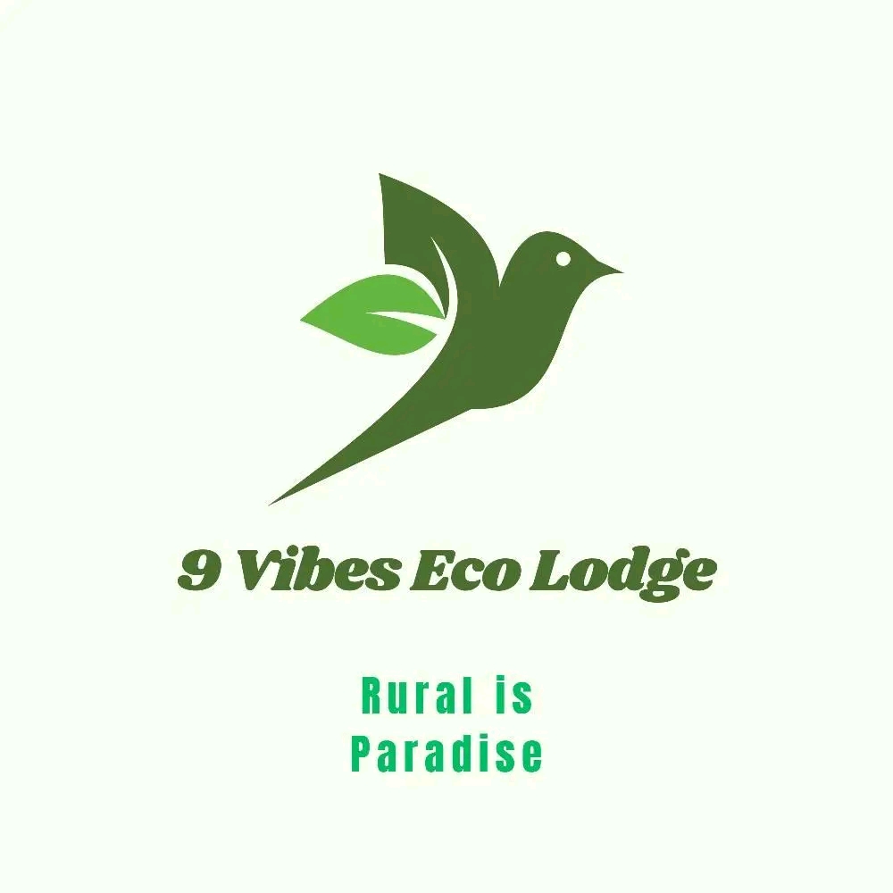 9 Vibes Eco Lodge