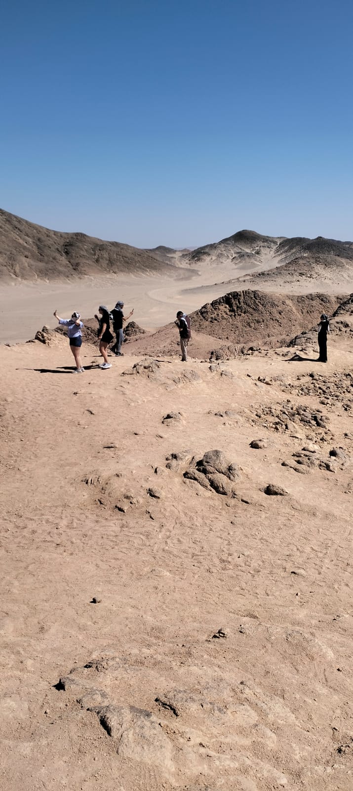 Hurghada Horizons Tours