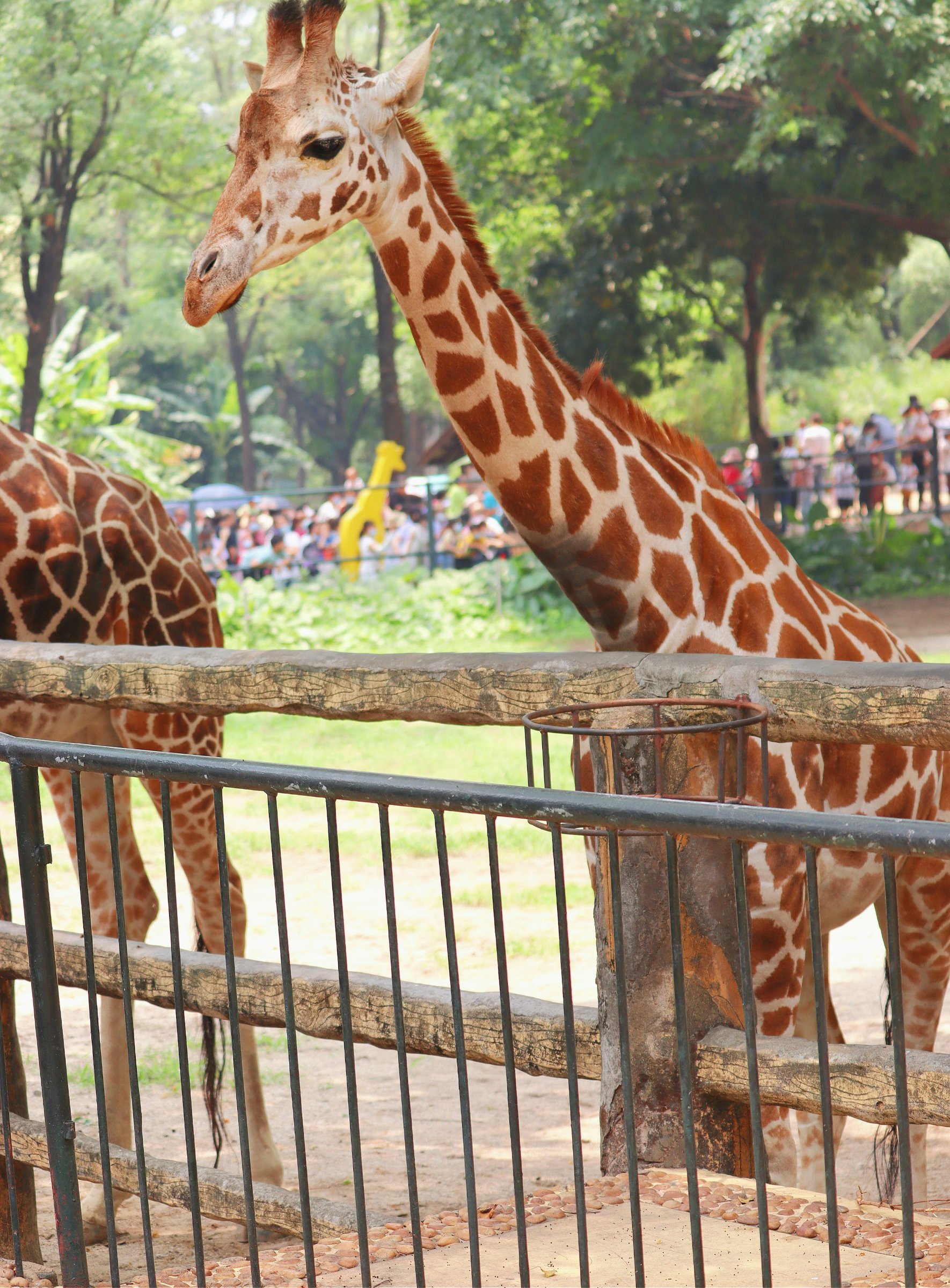 TerraQuest Safaris