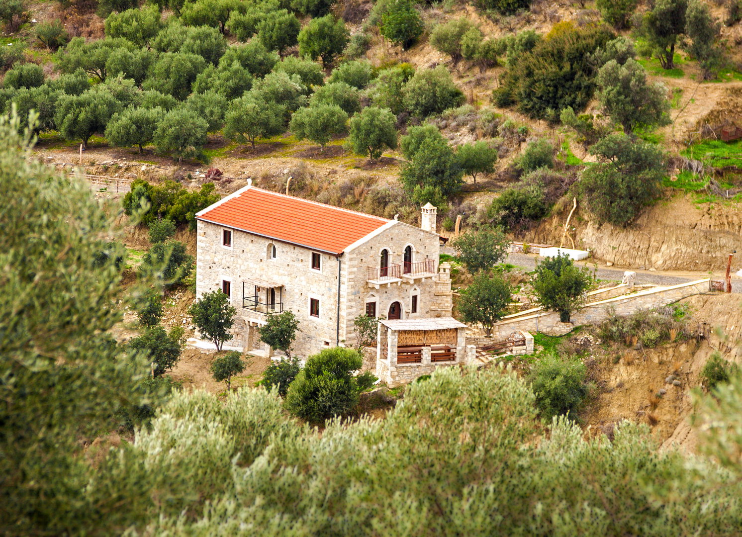 FILOGLOSSIA GREEK LANGUAGE ACADEMY