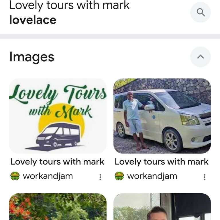 Mark Lovelace