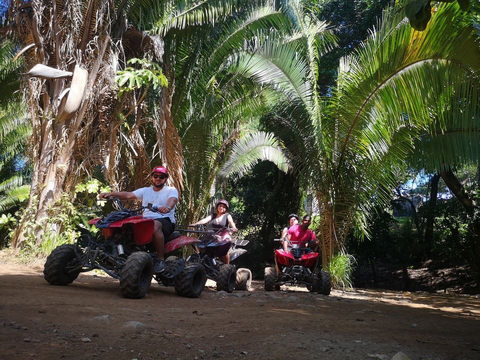 Explore Roa Tours