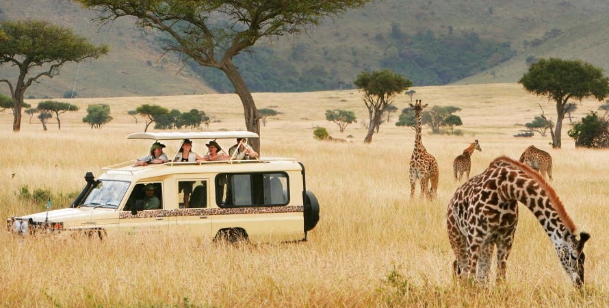 Faraday Tours
