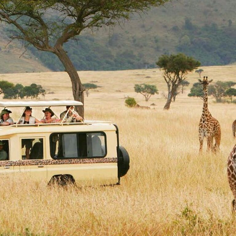 Faraday Tours