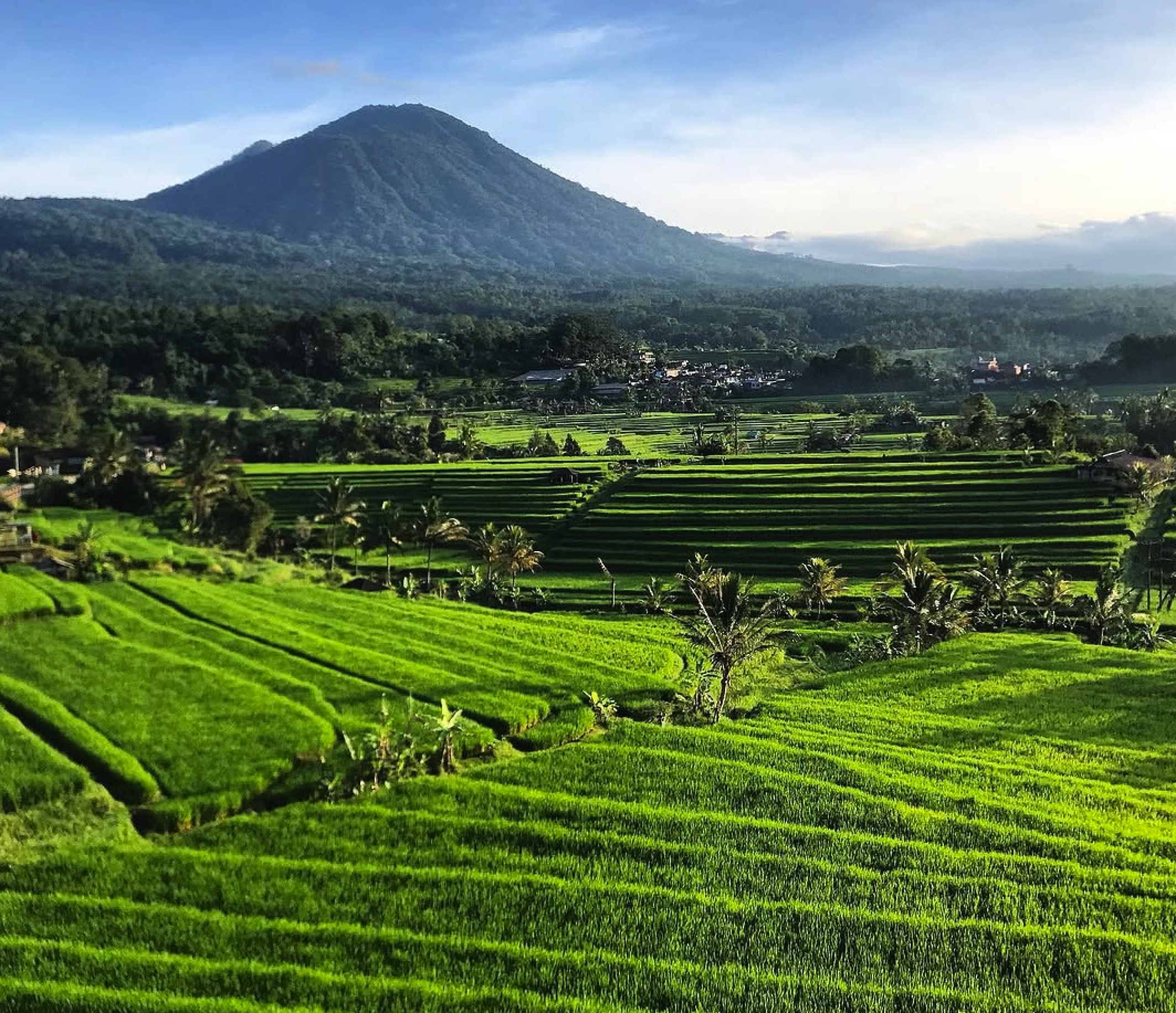 Travel Story Bali