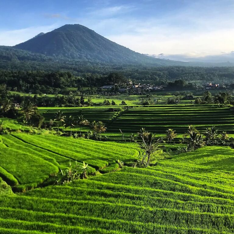 Travel Story Bali