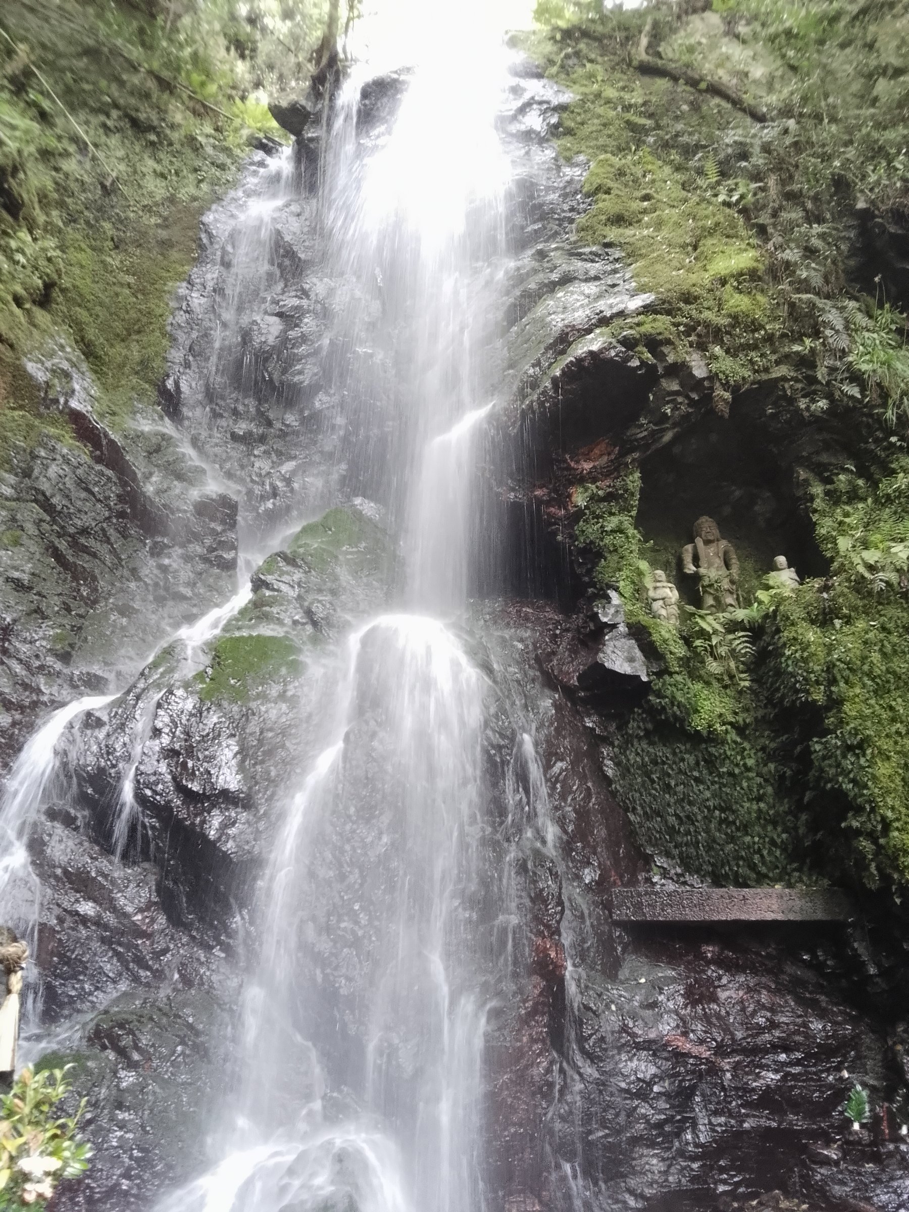 Kyoto Arashiyama hidden tour
