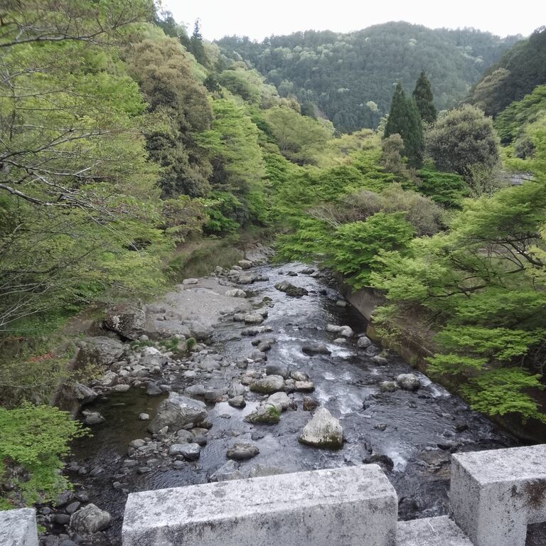 Kyoto Arashiyama hidden tour