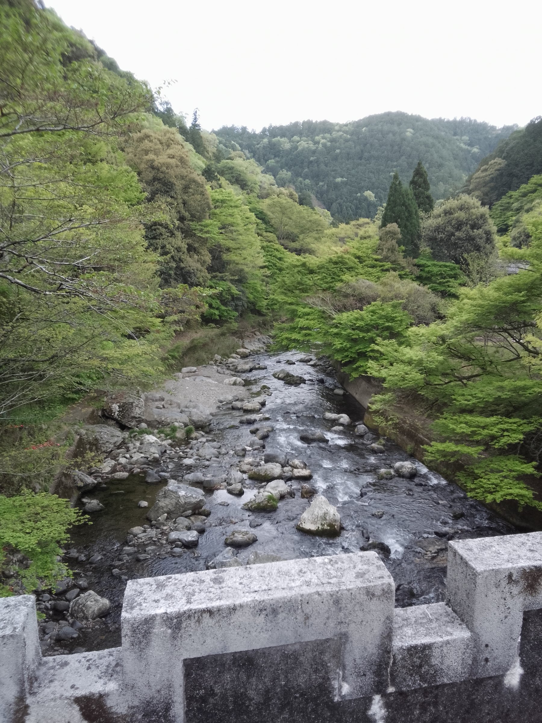 Kyoto Arashiyama hidden tour