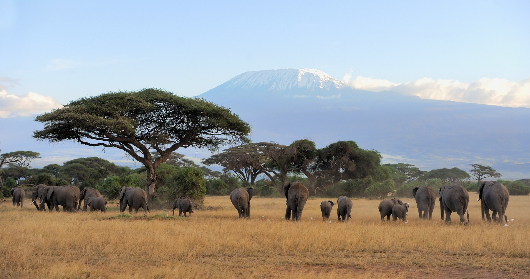Beach and Safari Holidays