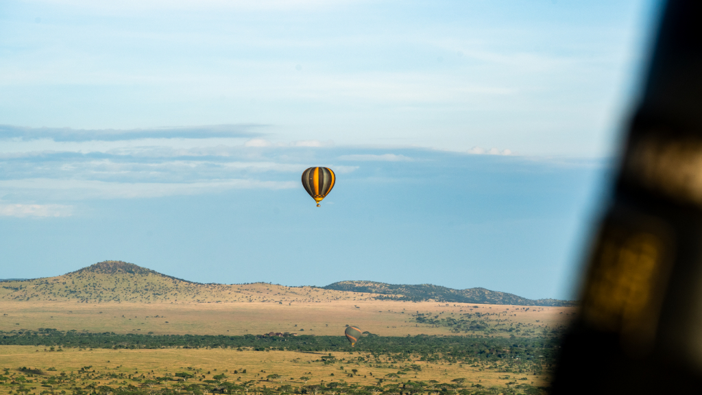 Beach and Safari Holidays