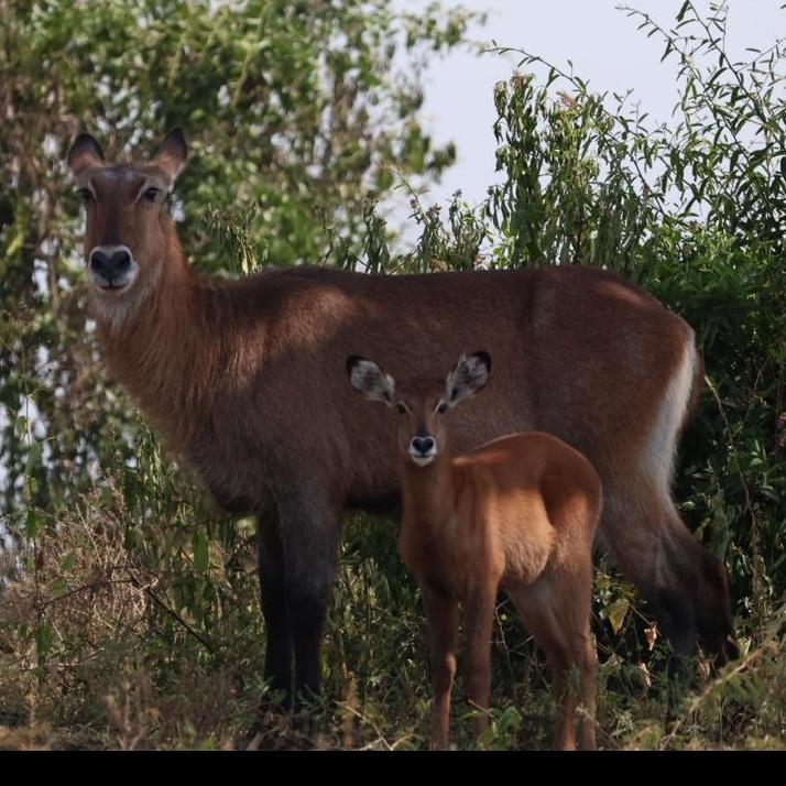 TURACO TRAILS TOURS
