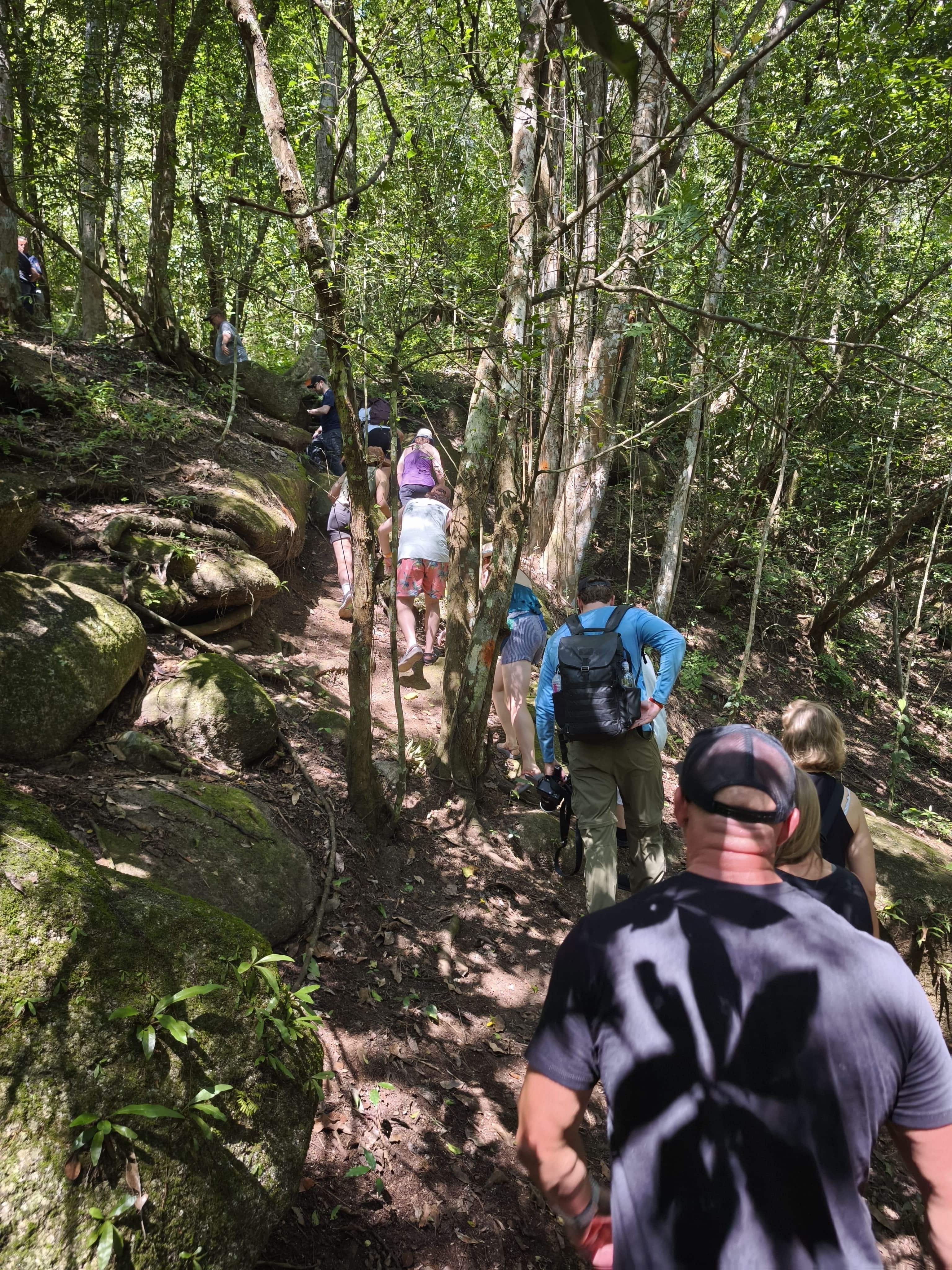 Los Veranos Canopy Tour