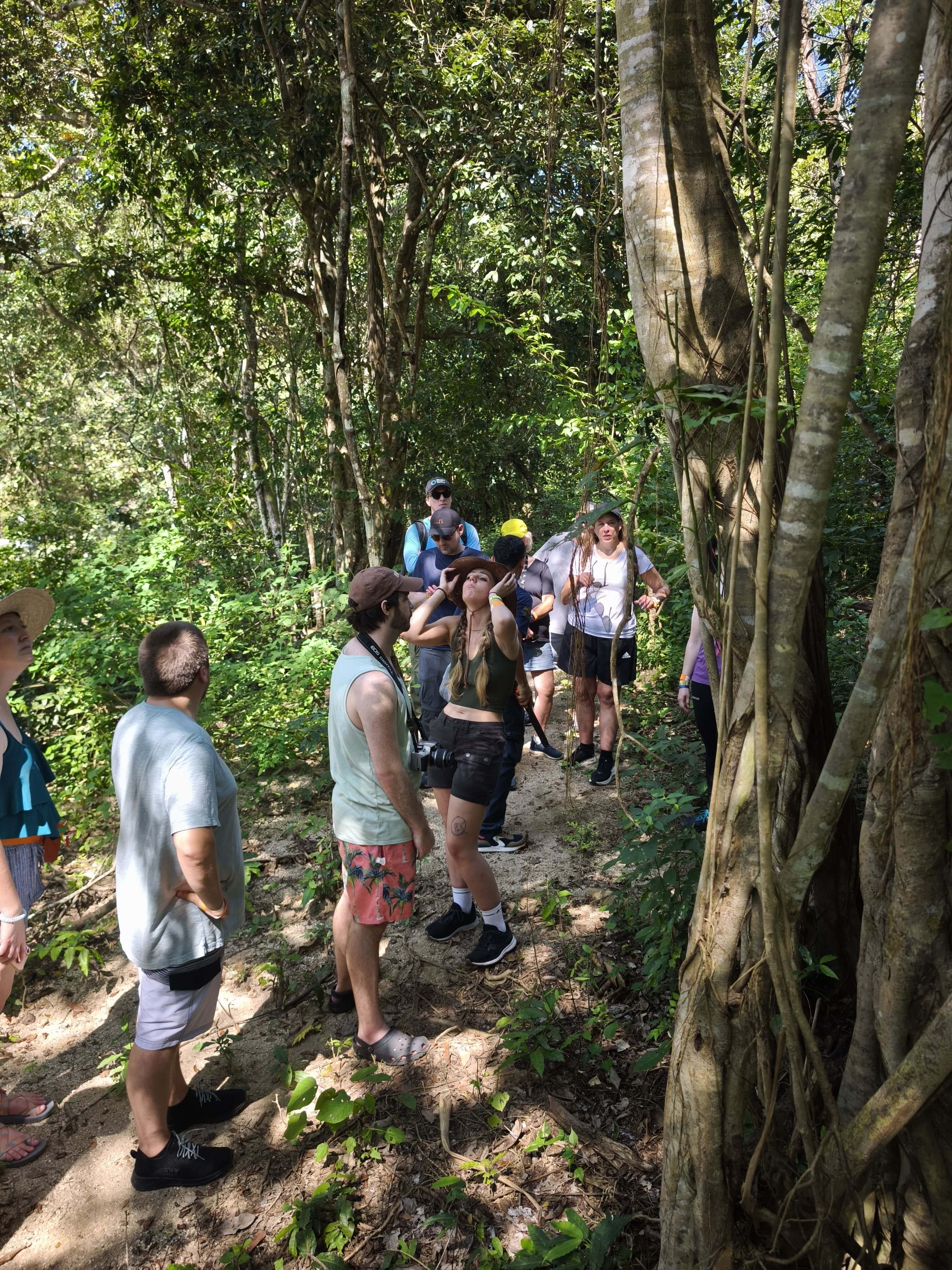 Los Veranos Canopy Tour