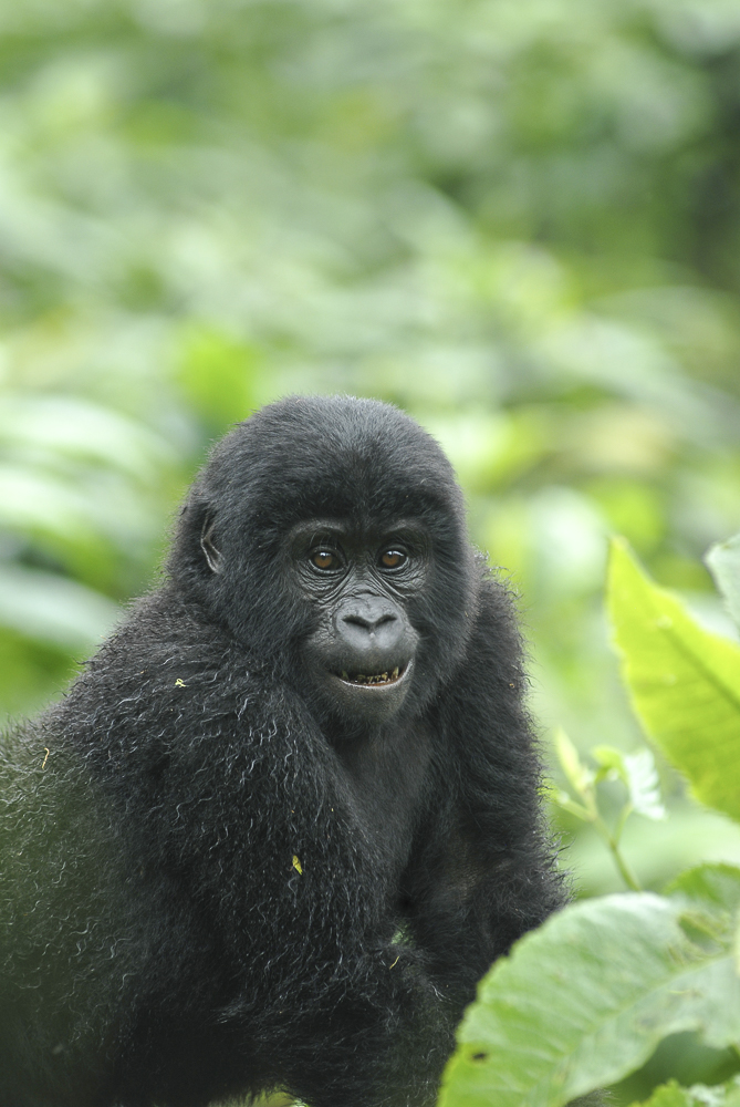 somarah safaris