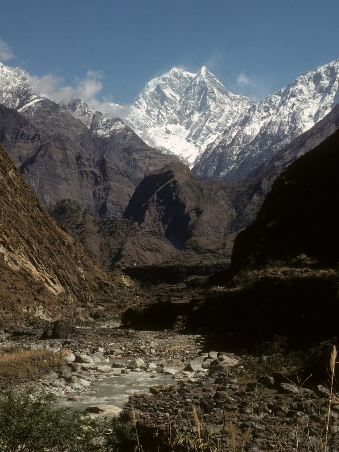Nirajan Subedi