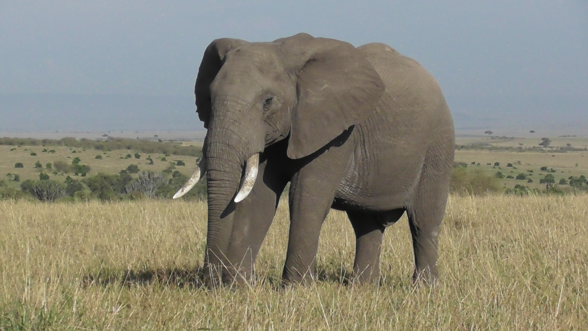 Safari Workshop Adventures