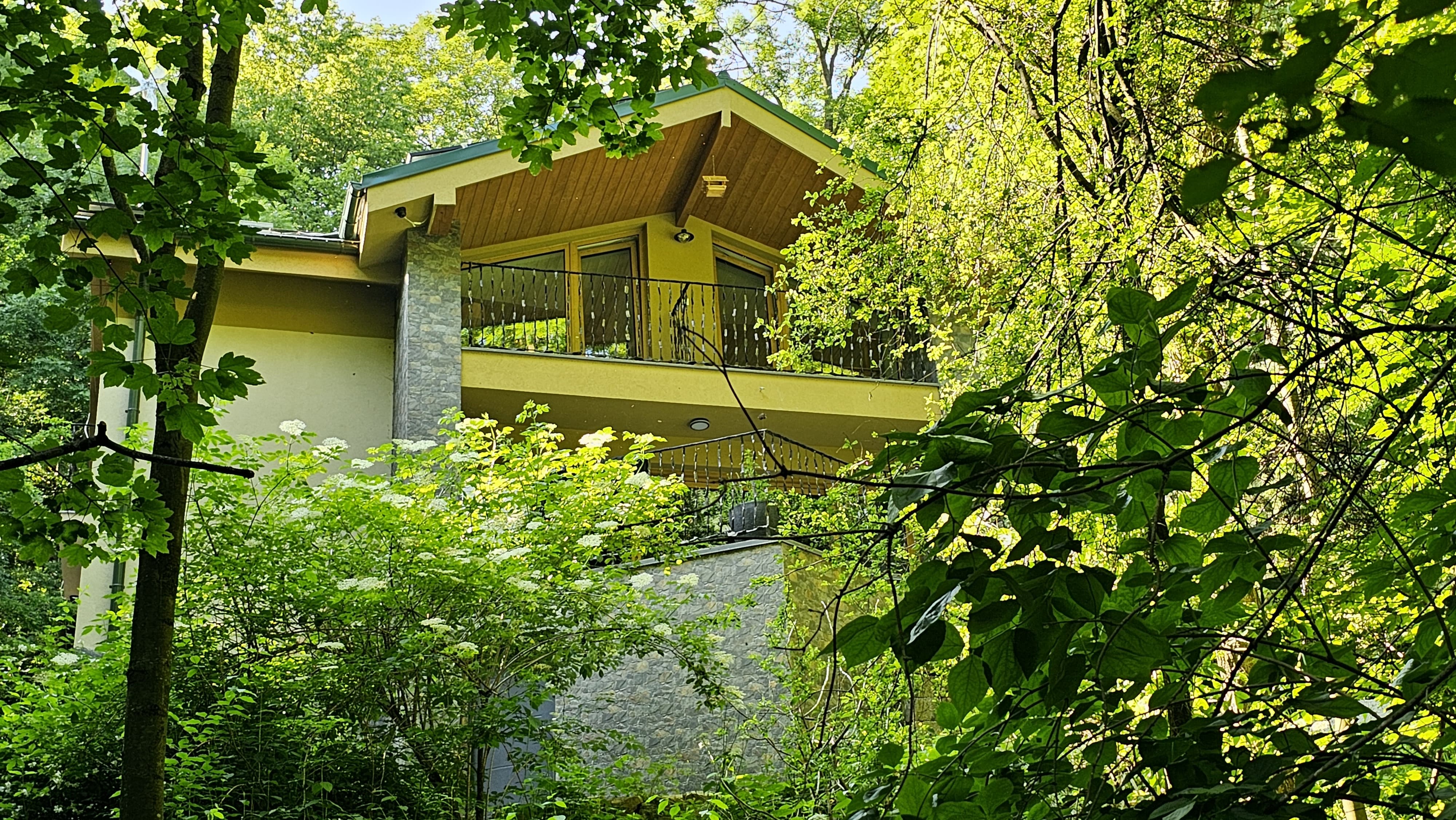 Chalet Robinson