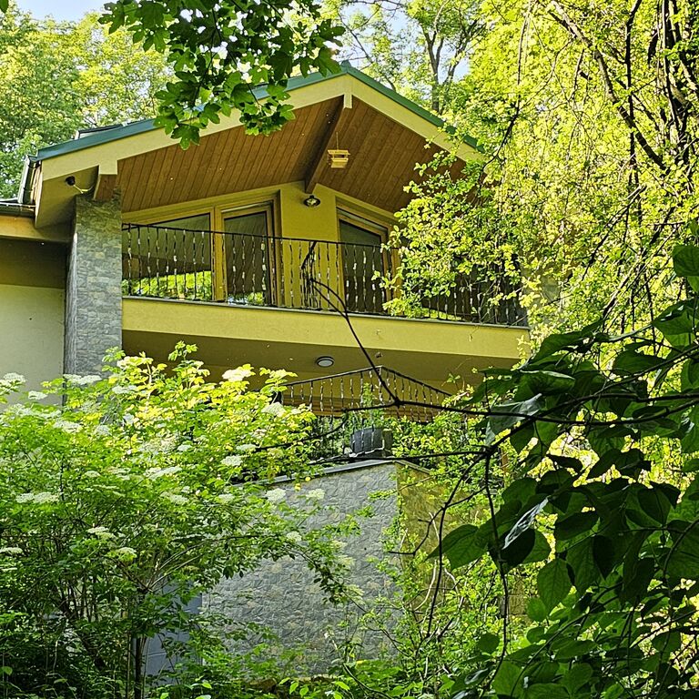 Chalet Robinson