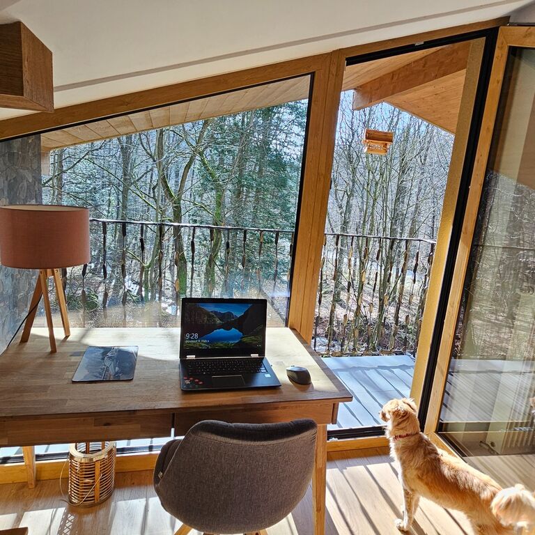 Chalet Robinson