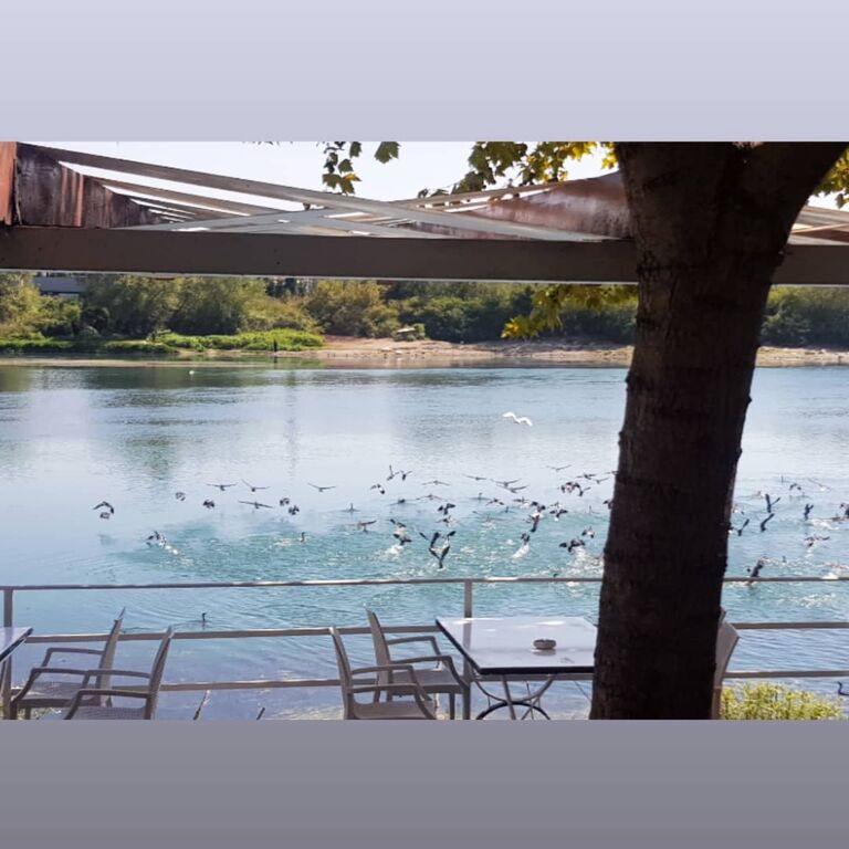 Hotel Restorant Vataksi Halal