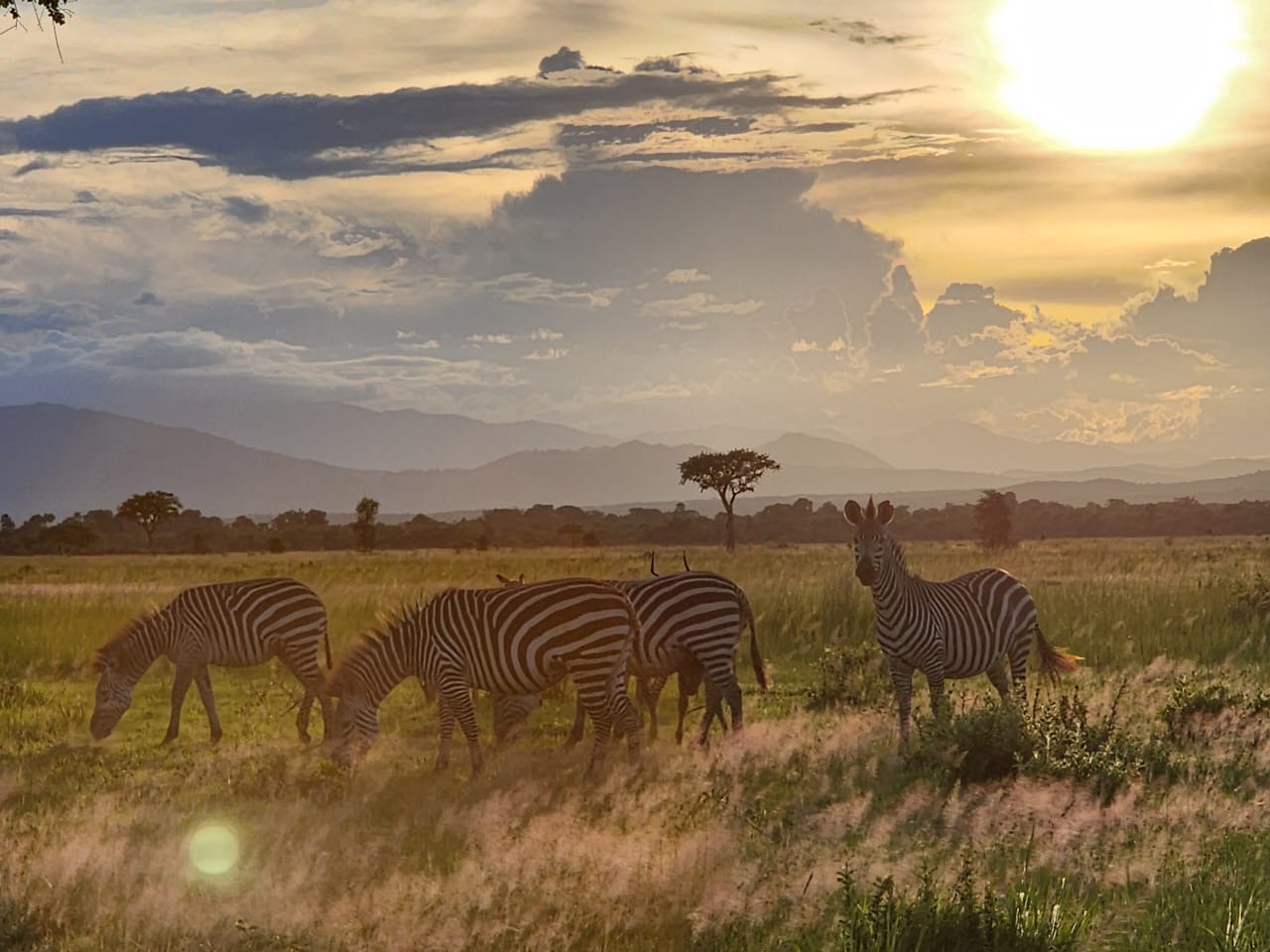 MDIGRII Tour and Safaris