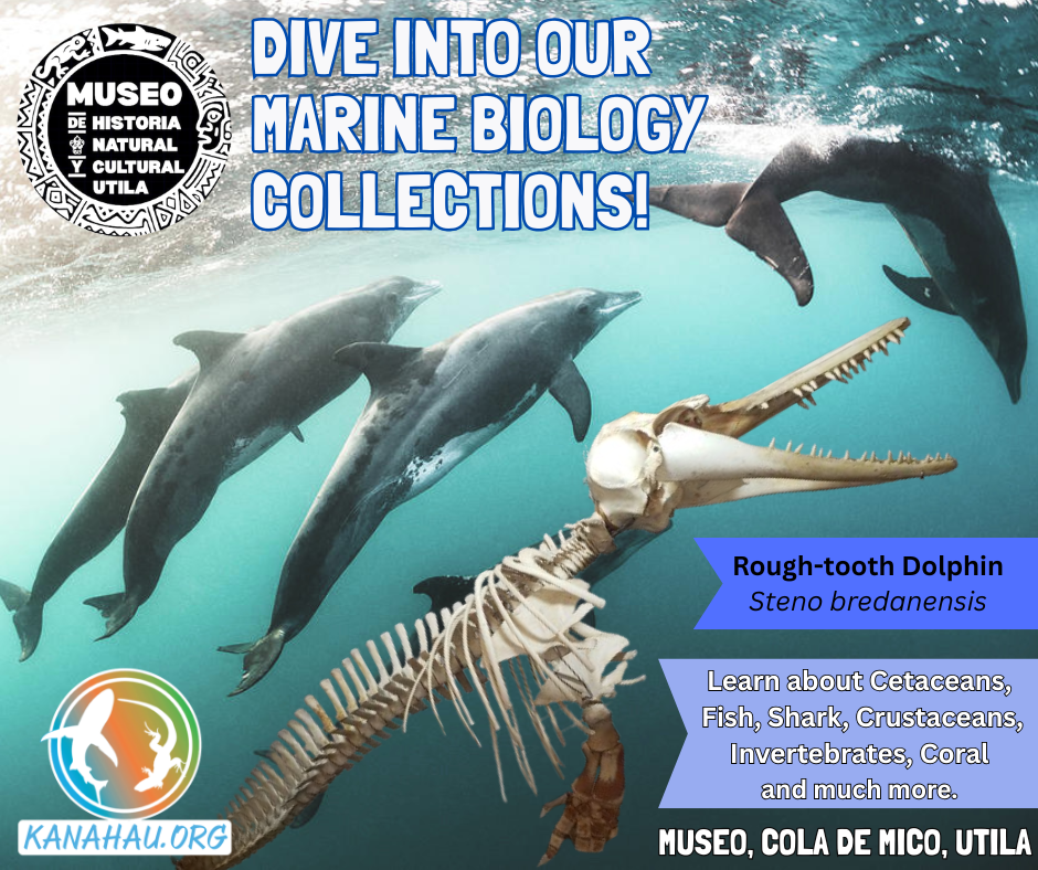Kanahau Wildlife Conservation