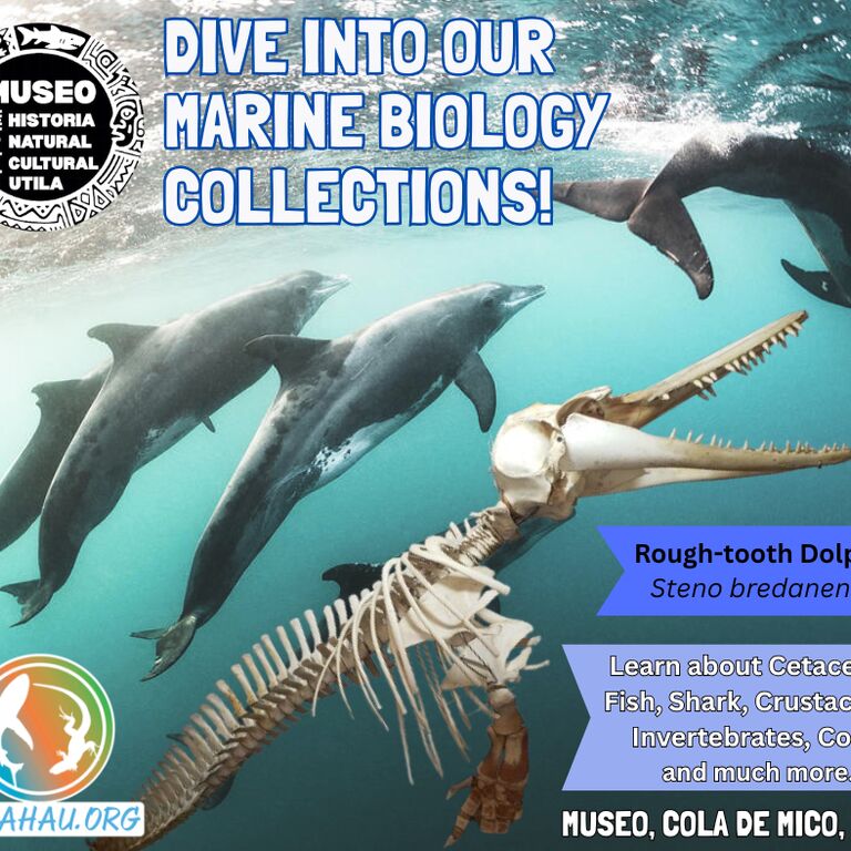 Kanahau Wildlife Conservation