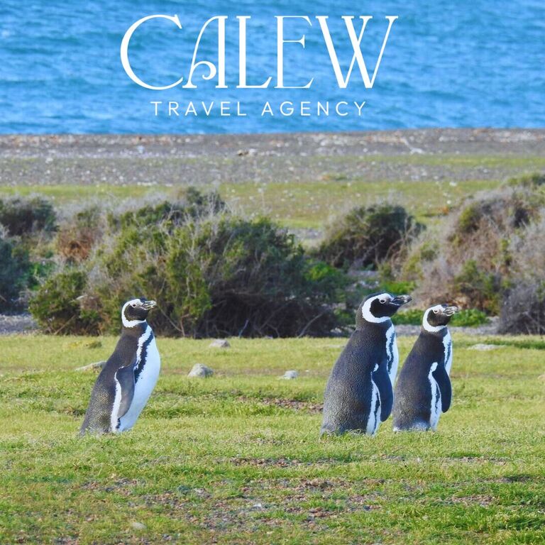 Calew Travel