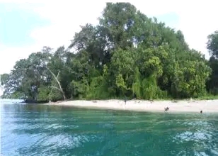 Susan Waide Tours POPONDETTA