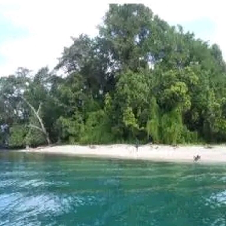 Susan Waide Tours POPONDETTA
