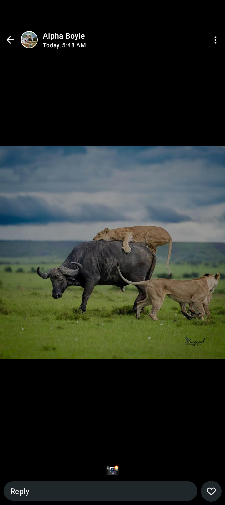 Inferno Events and Safaris