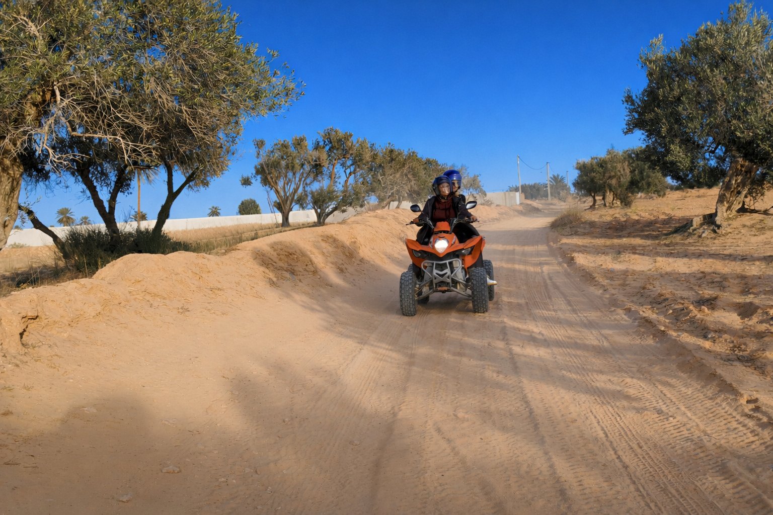 Ste Action Tour Djerba