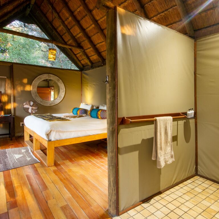 11-Night Experience