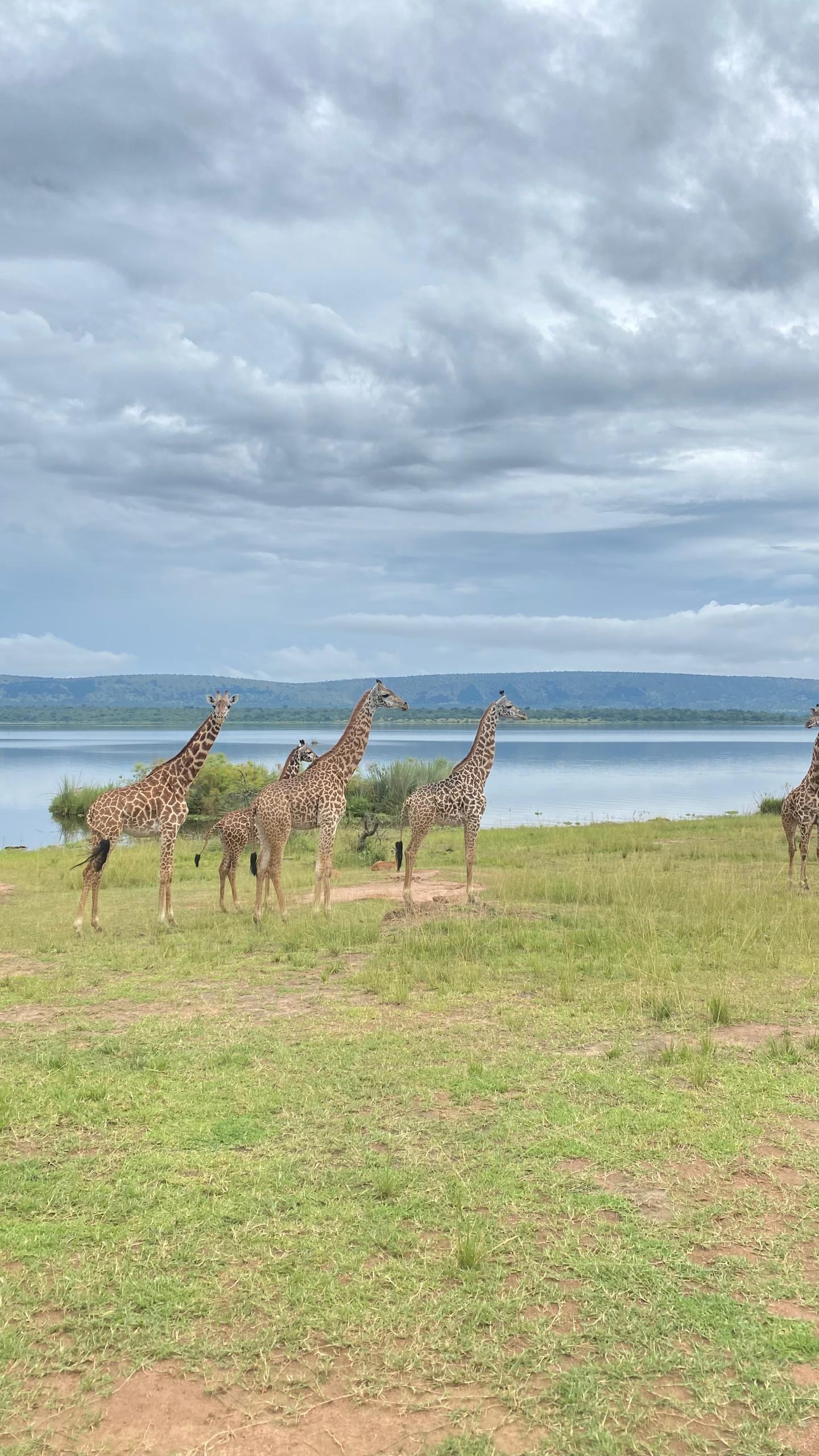 Marena Safaris